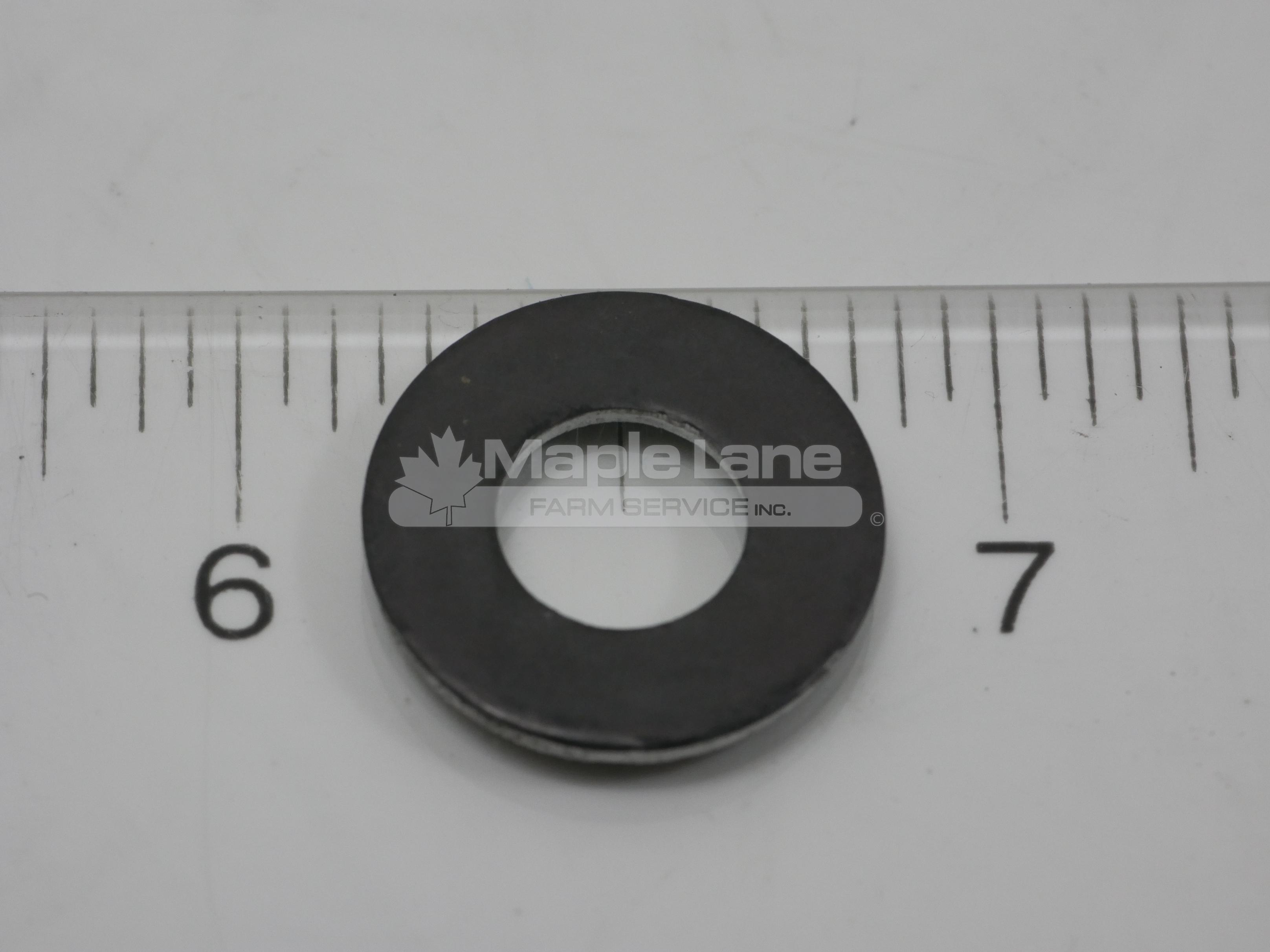 4224746M1 Flat Washer